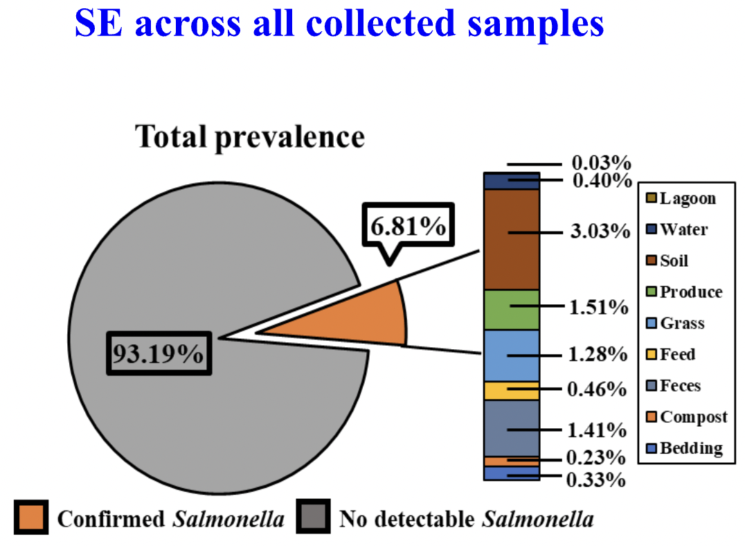 SE across all collected samples