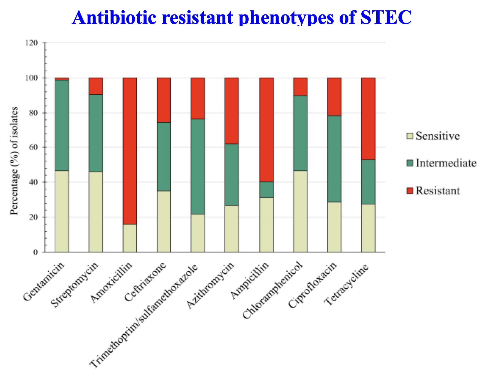 Antibiotic resistance phenotypes of STEC