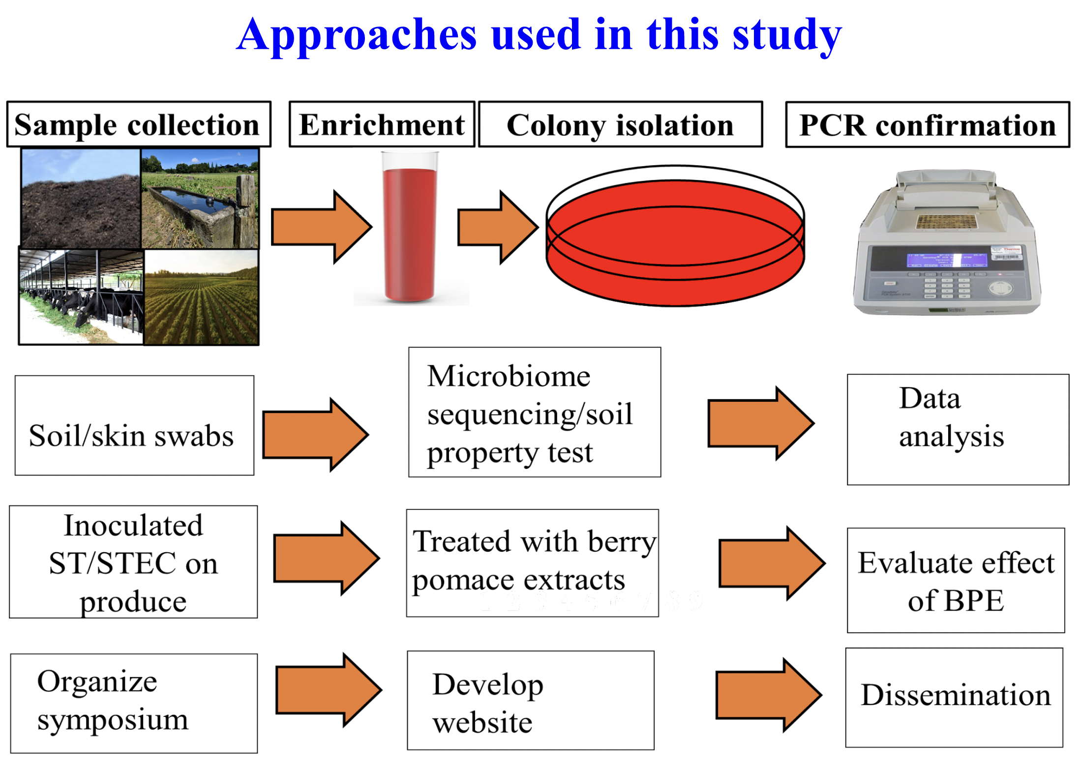 Approaches used in this study