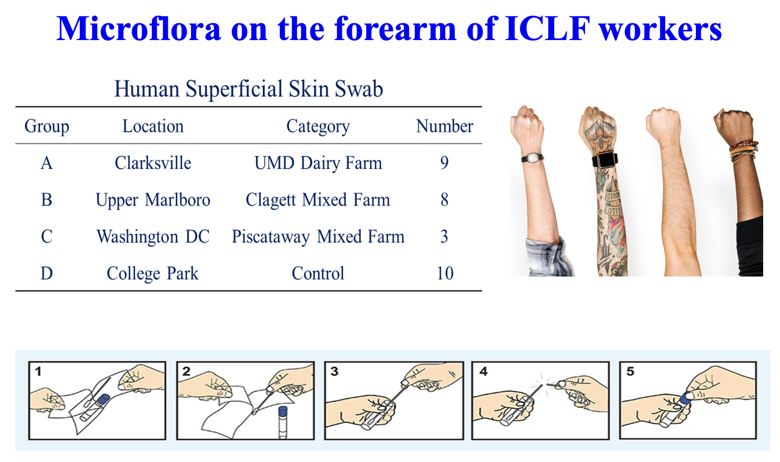 Microflora on the forearm of ICLF workers